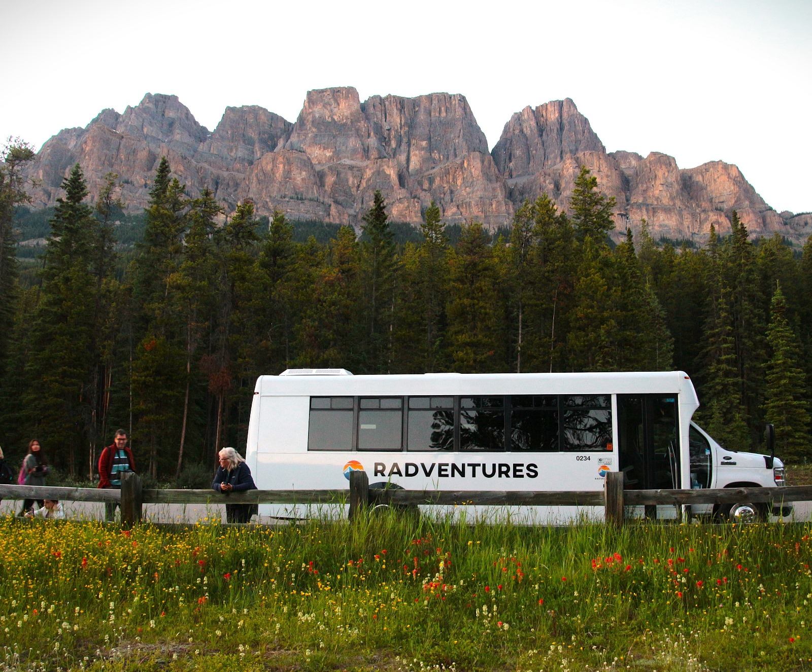 A white "RADVENTURES" bus is parked by a wooden fence next to a field of wildflowers, with pine trees and rugged mountains in the background.