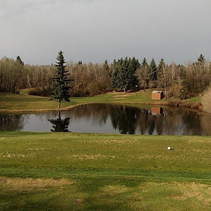 Golf course pond with surrounding trees and a small wooden shed at Lacombe Golf and Country Club.