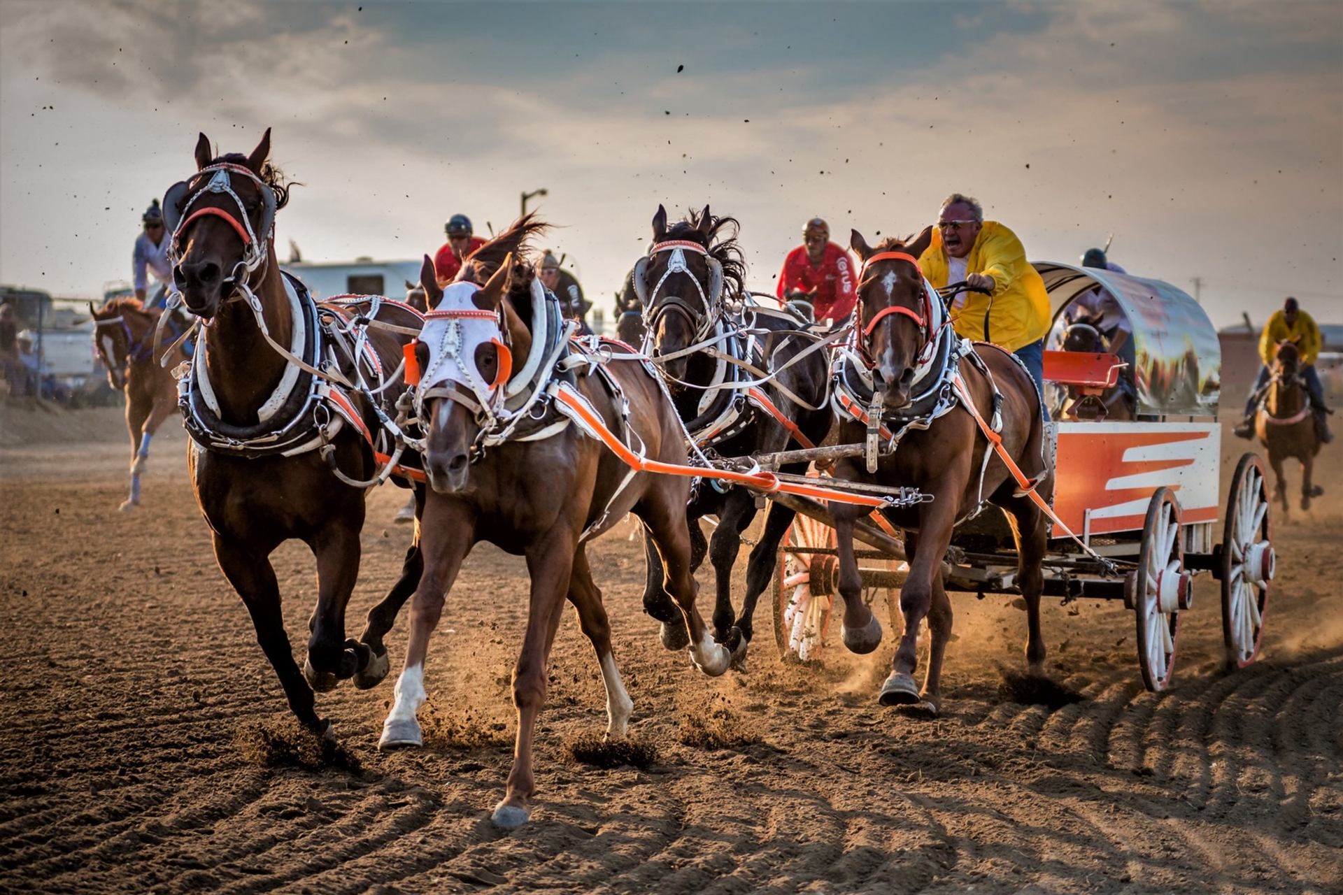 Chuckwagon race horses pull wagons across a dirt track as drivers steer closely together.