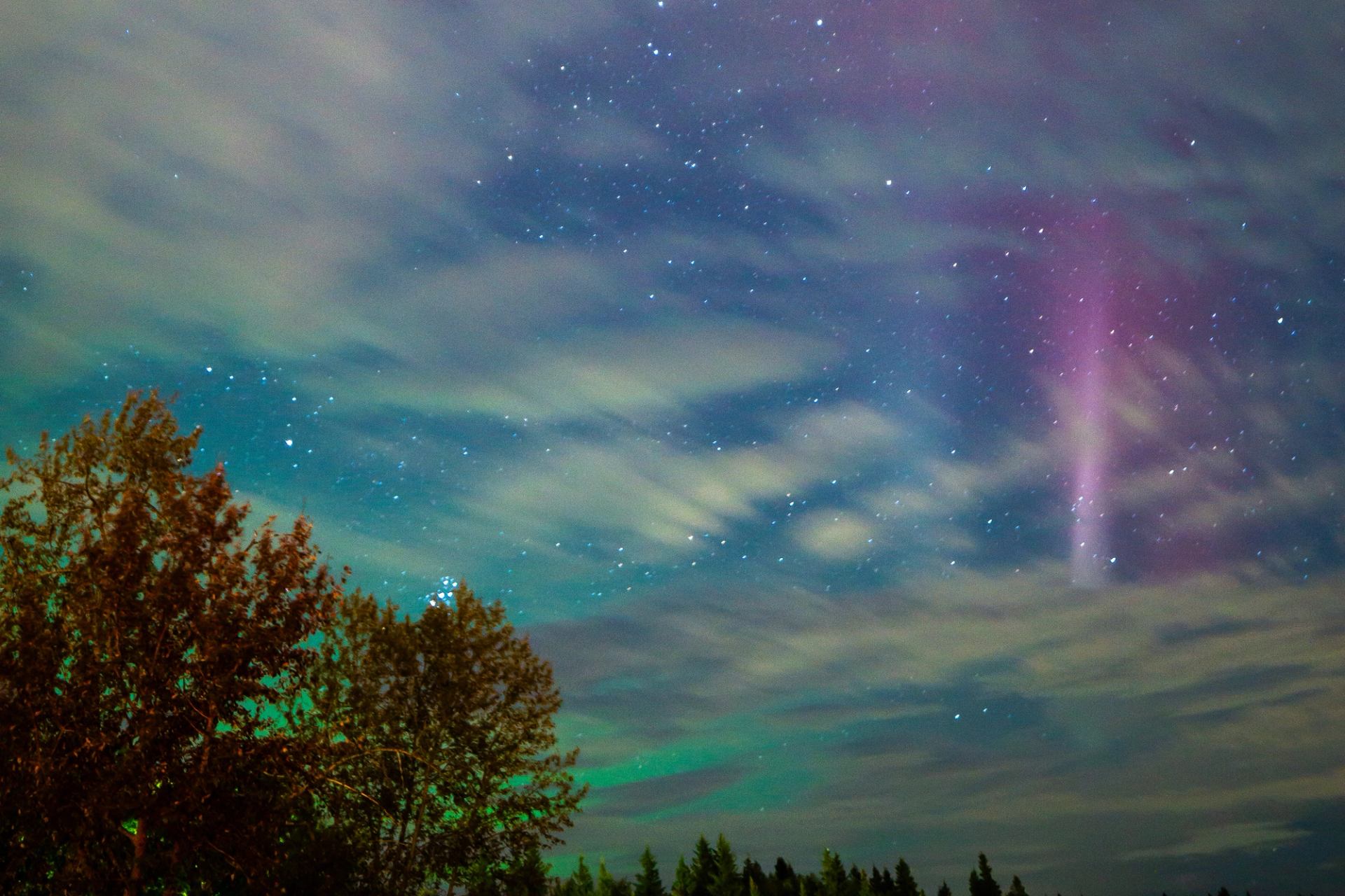 Beaver Hills Dark Sky Preserve.