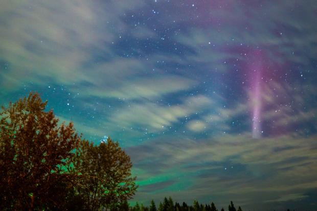 Beaver Hills Dark Sky Preserve.