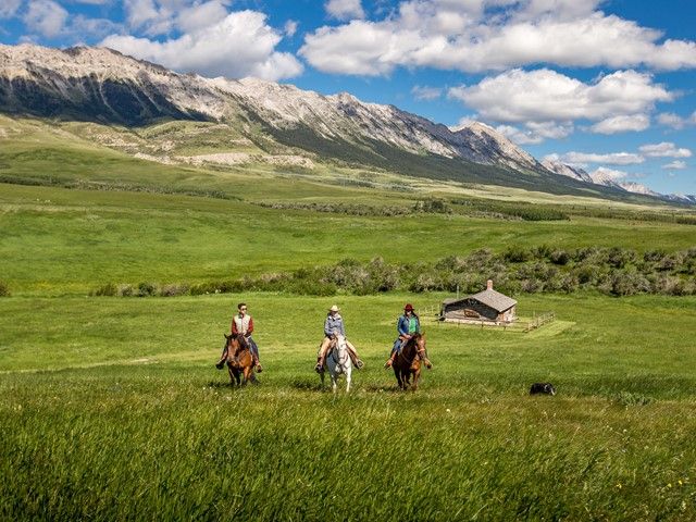 Guests horseback riding in the foothills with mountain views at Centre Peak High Country Adventures.