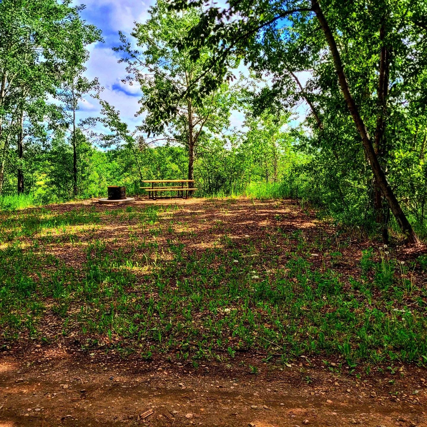 Campsite with fire pit and picnic table in a forest clearing.