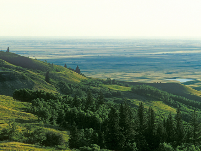 Rolling green hills with dense trees overlooking flat open plains under hazy sky.