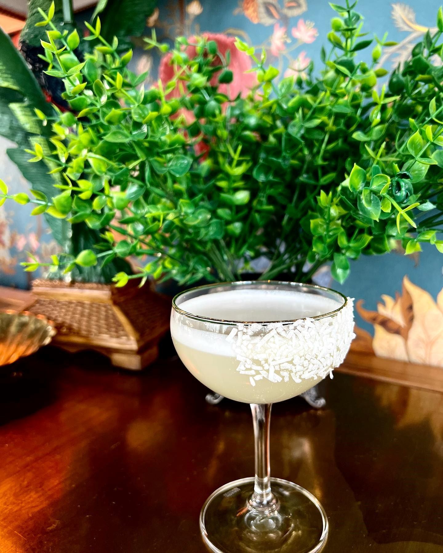 White cocktail in coupe glass with sugar rim and green plant backdrop