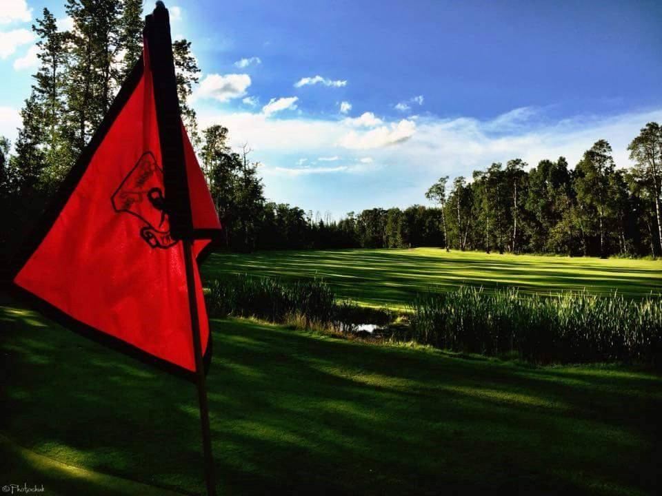 Red golf flag on green fairway with trees and partly cloudy sky in background.