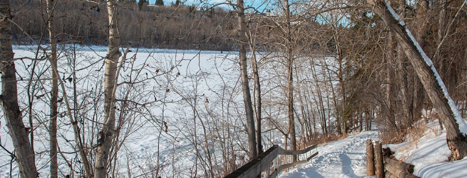 Snowy trail in the park