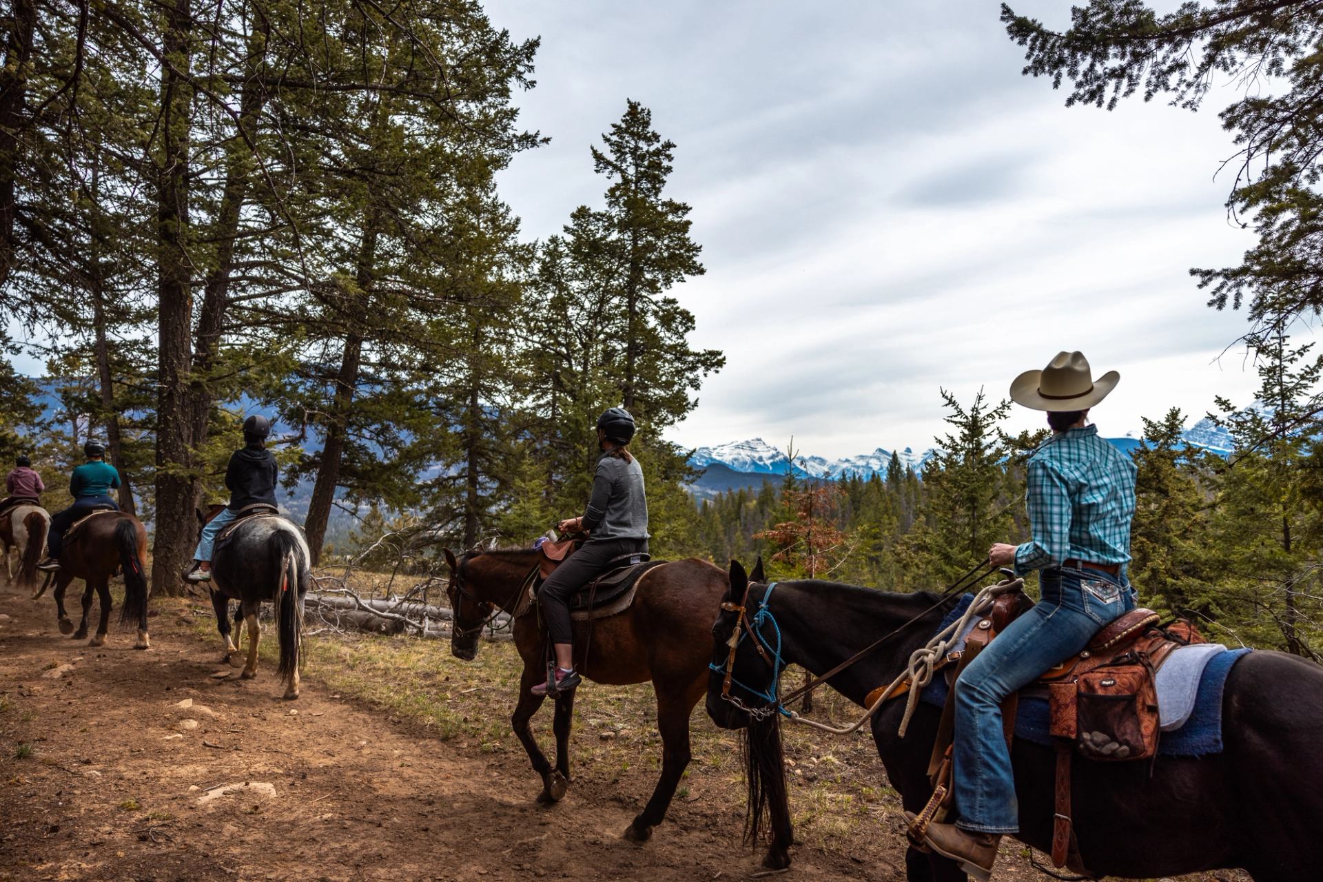 Group riding horses on a forest trail with mountains in the background.