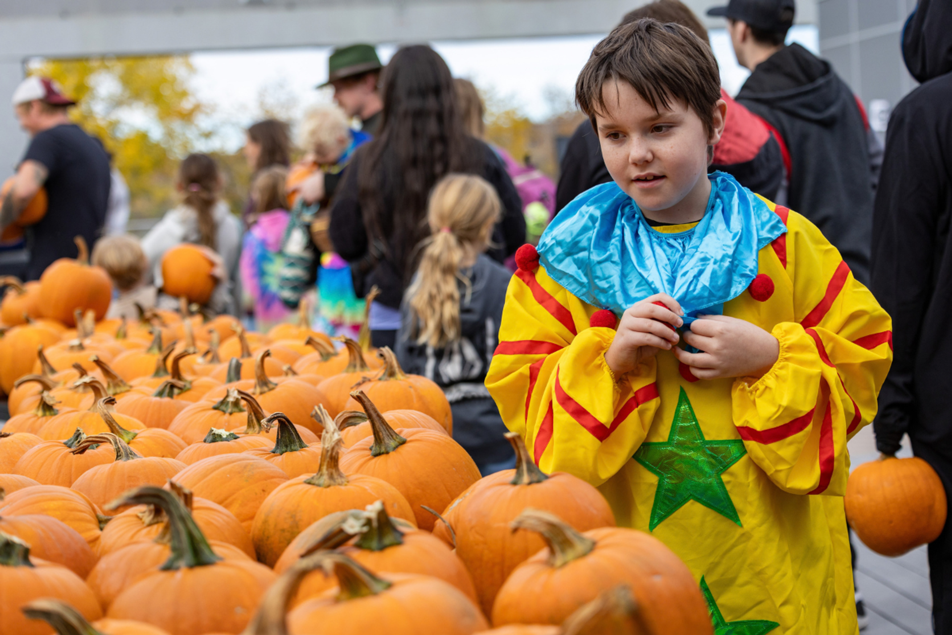 Child in a colourful clown costume stands beside a large display of pumpkins.