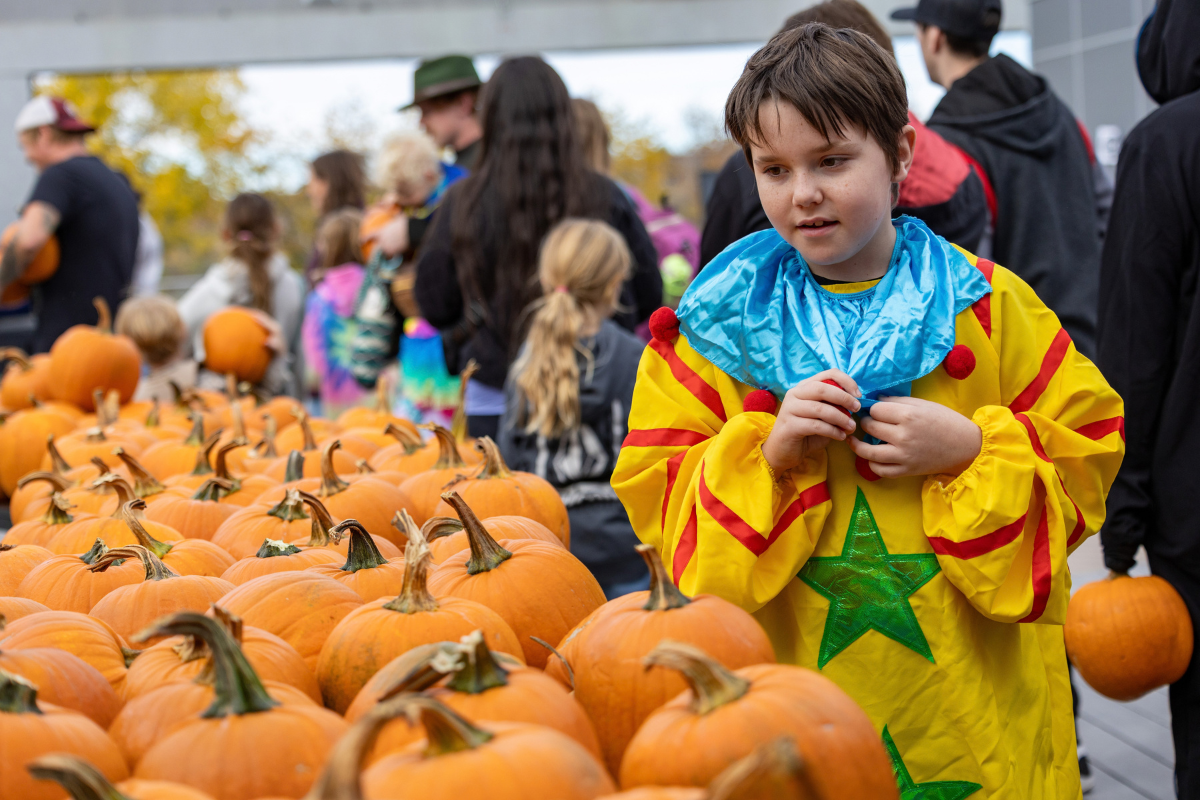 Child in a colourful clown costume stands beside a large display of pumpkins.