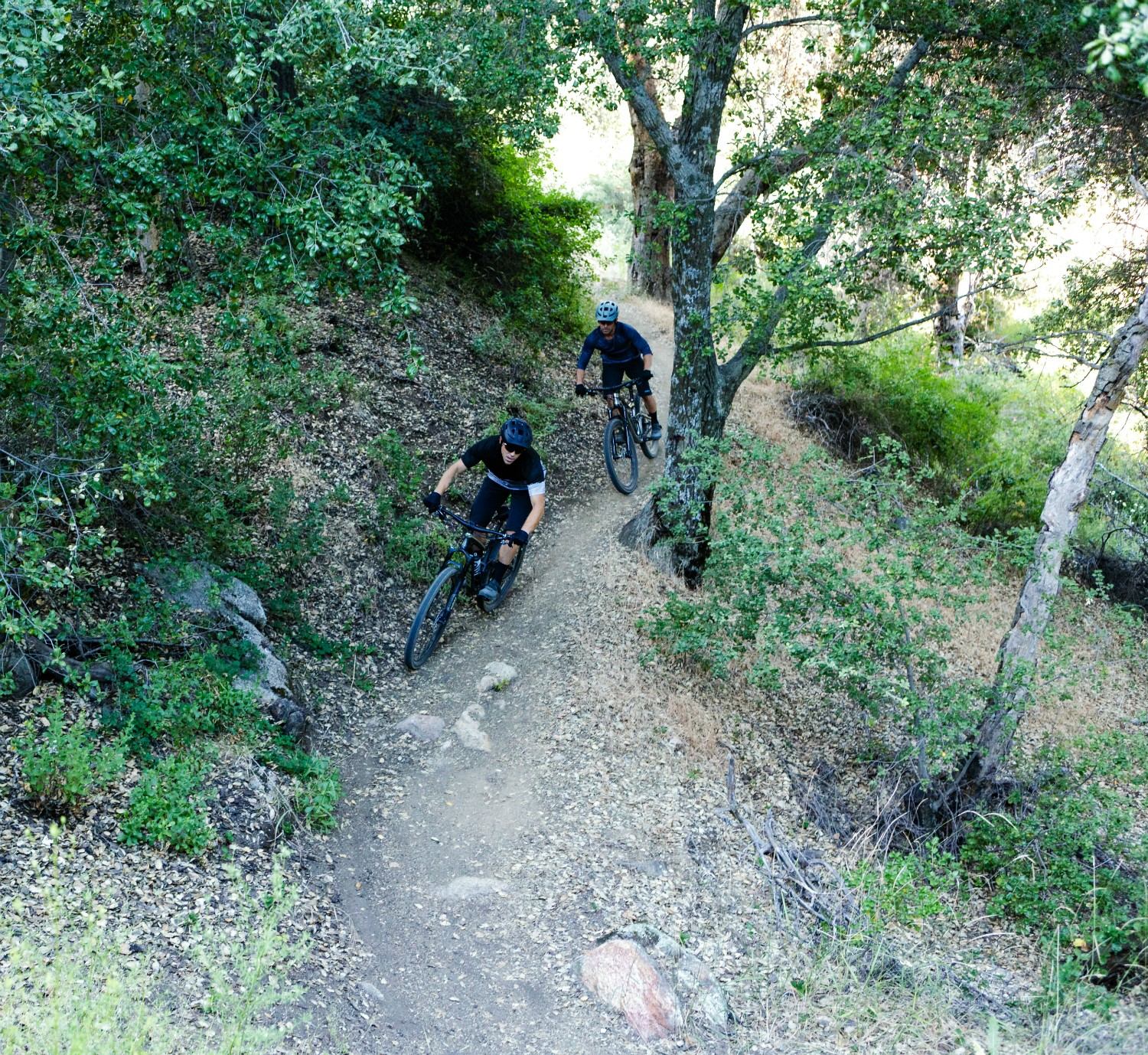 Two riders on mountain bikes navigating forest trail with trees and rocky terrain.