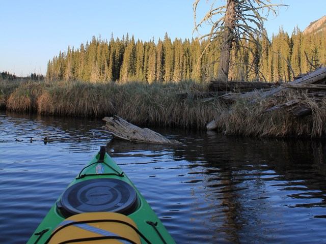 Kayaking at Beaverdam