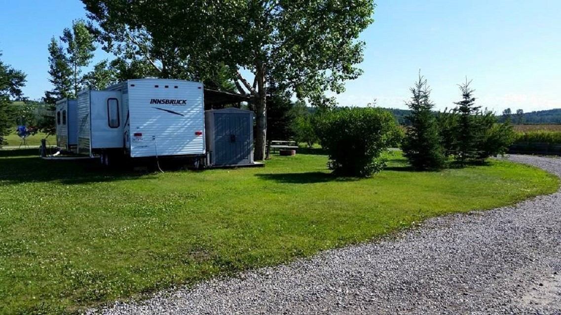 White RV parked on grassy site with trees and picnic table nearby