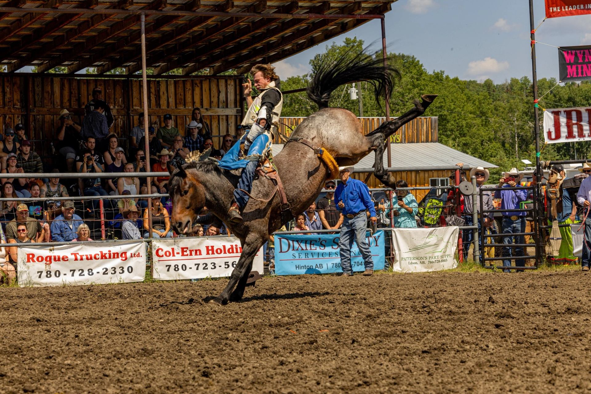 Cowboy trying to stay on the horse while bronc riding