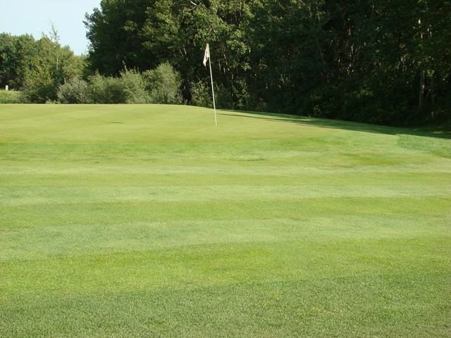 Golf course green with a flagstick, surrounded by trees and neatly mown grass.