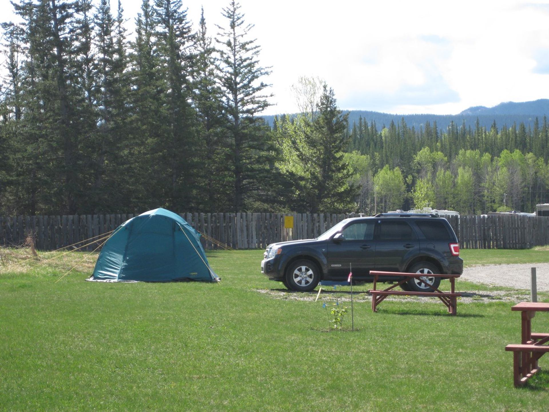 Tent campsite beside a parked vehicle features a picnic table and forested mountain backdrop nearby.