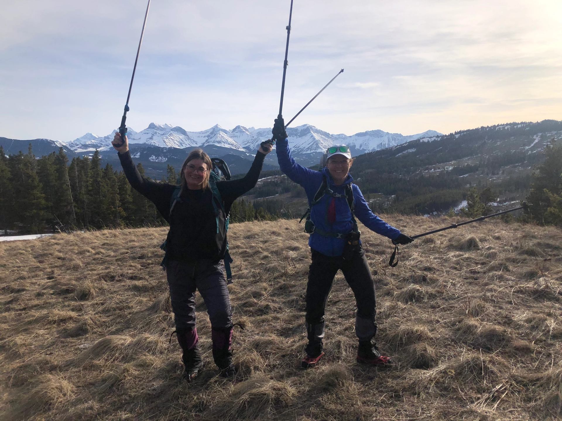 Two hikers raising poles on a grassy ridge with snowy peaks in the distance.