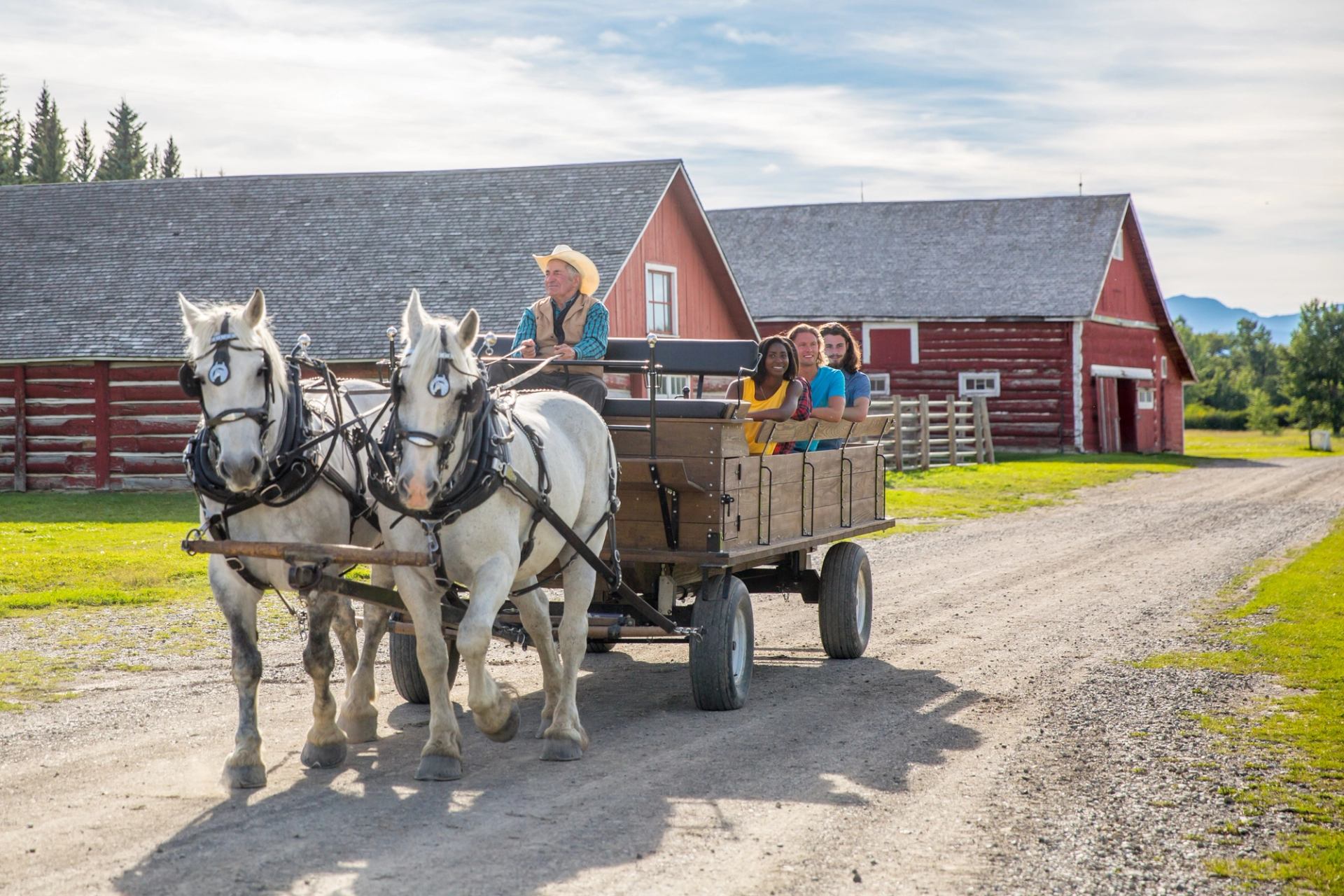 Horse-drawn wagon carries people along gravel road past red barns and green fields.