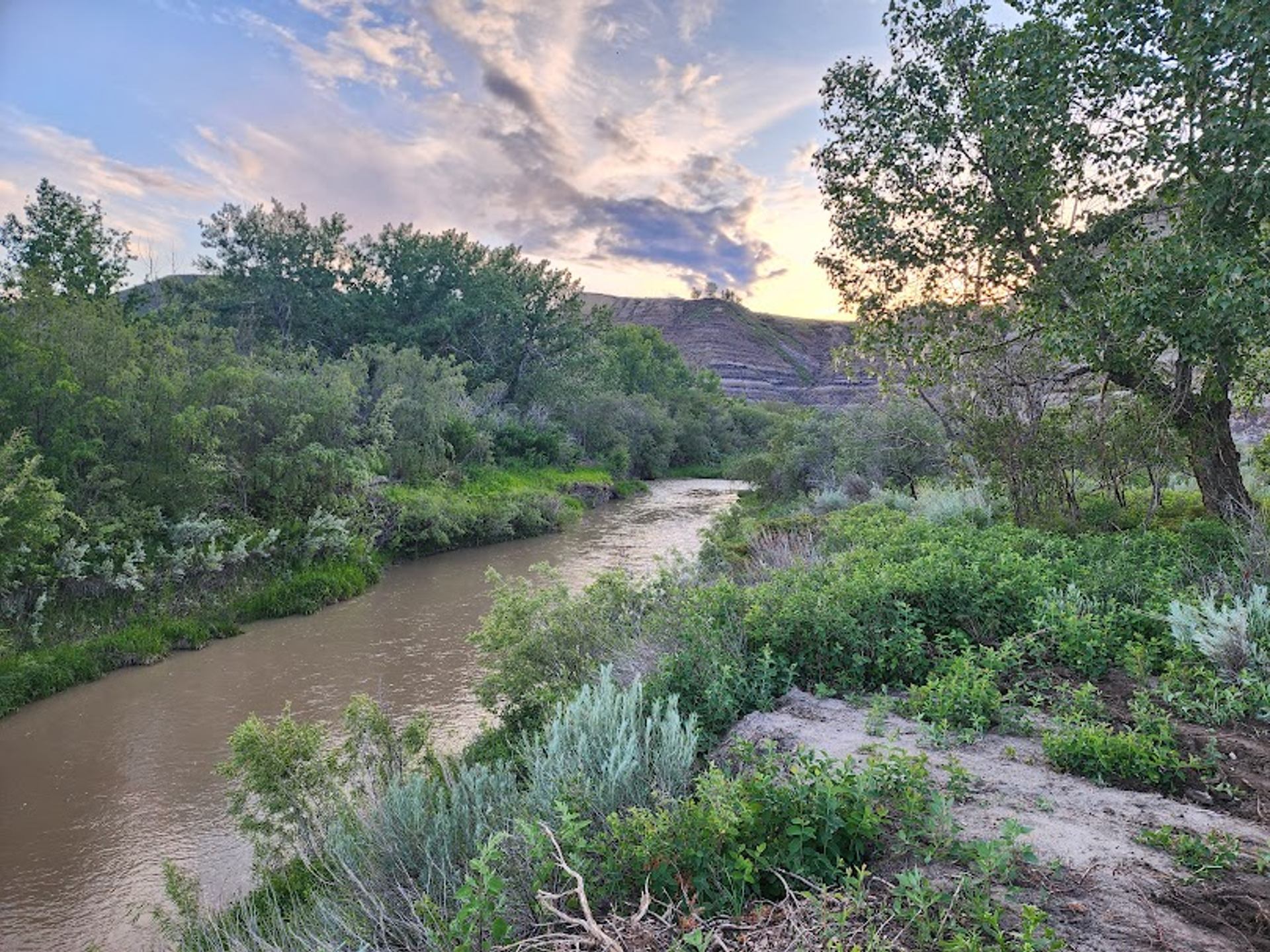 Narrow brown river winding through dense green shrubs with hills and cloudy sky behind.