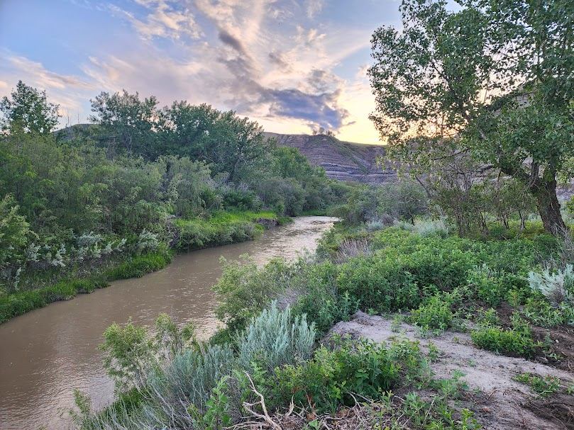 Narrow brown river winding through dense green shrubs with hills and cloudy sky behind.