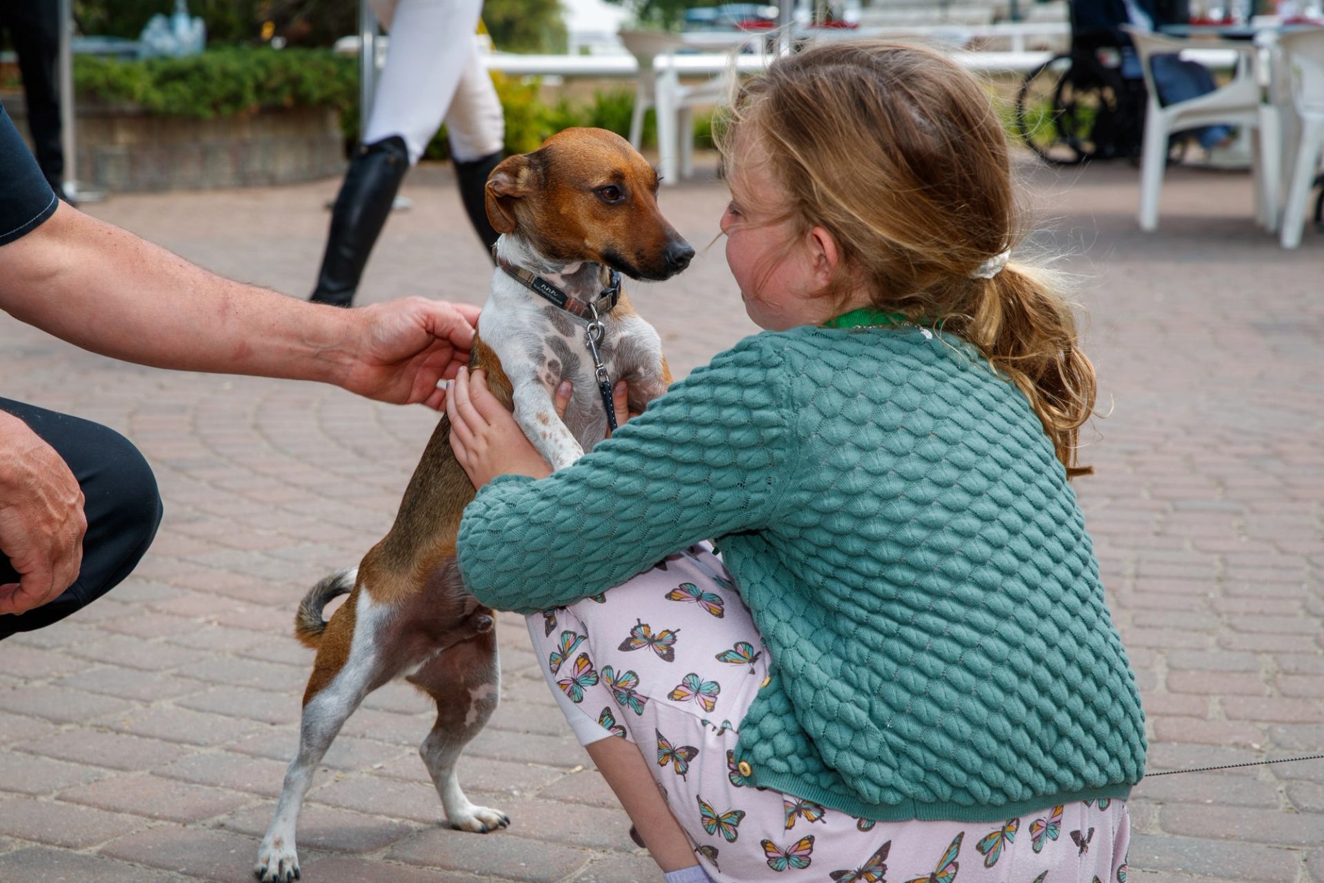 A young girl crouches, holding a small dog standing on its hind legs, with an adult's hand petting it.