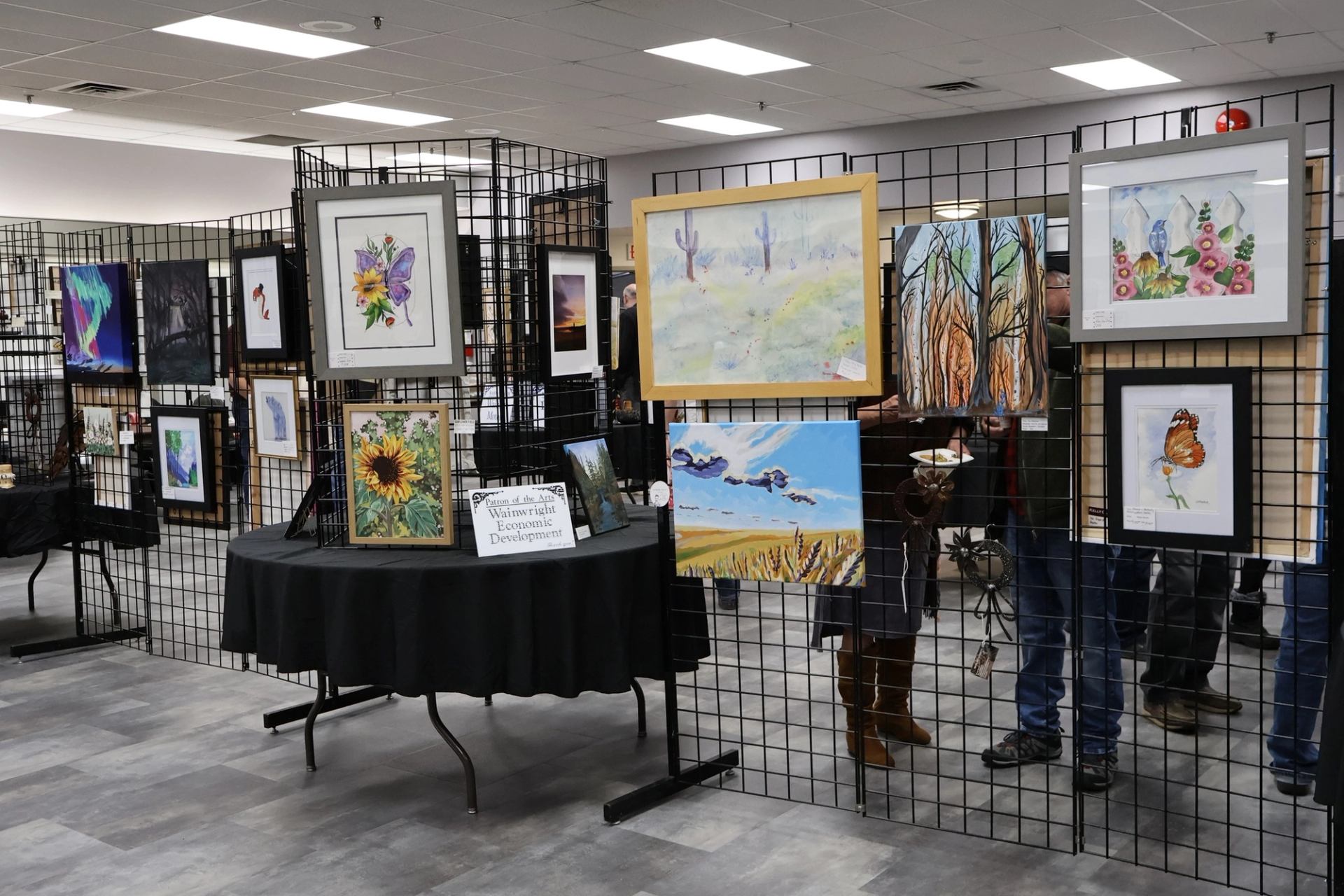 Art display at the Wainwright Arts Festival with nature‑themed paintings and illustrations.