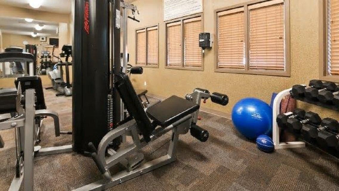 Gym fitness equipment with treadmill, weight machine, and blue exercise balls in a room.