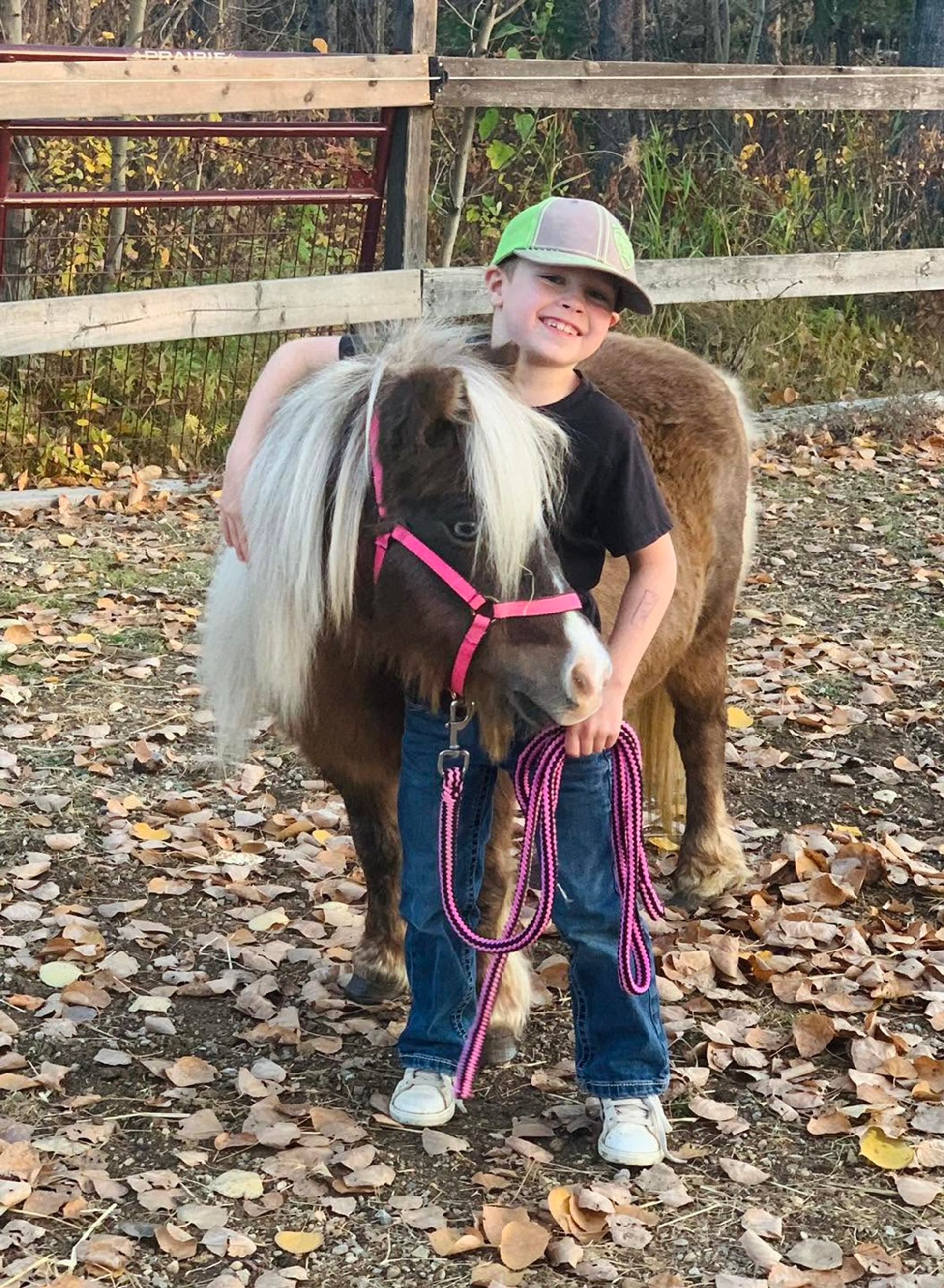 Child holds a pink lead while standing beside a miniature horse in a fenced paddock.