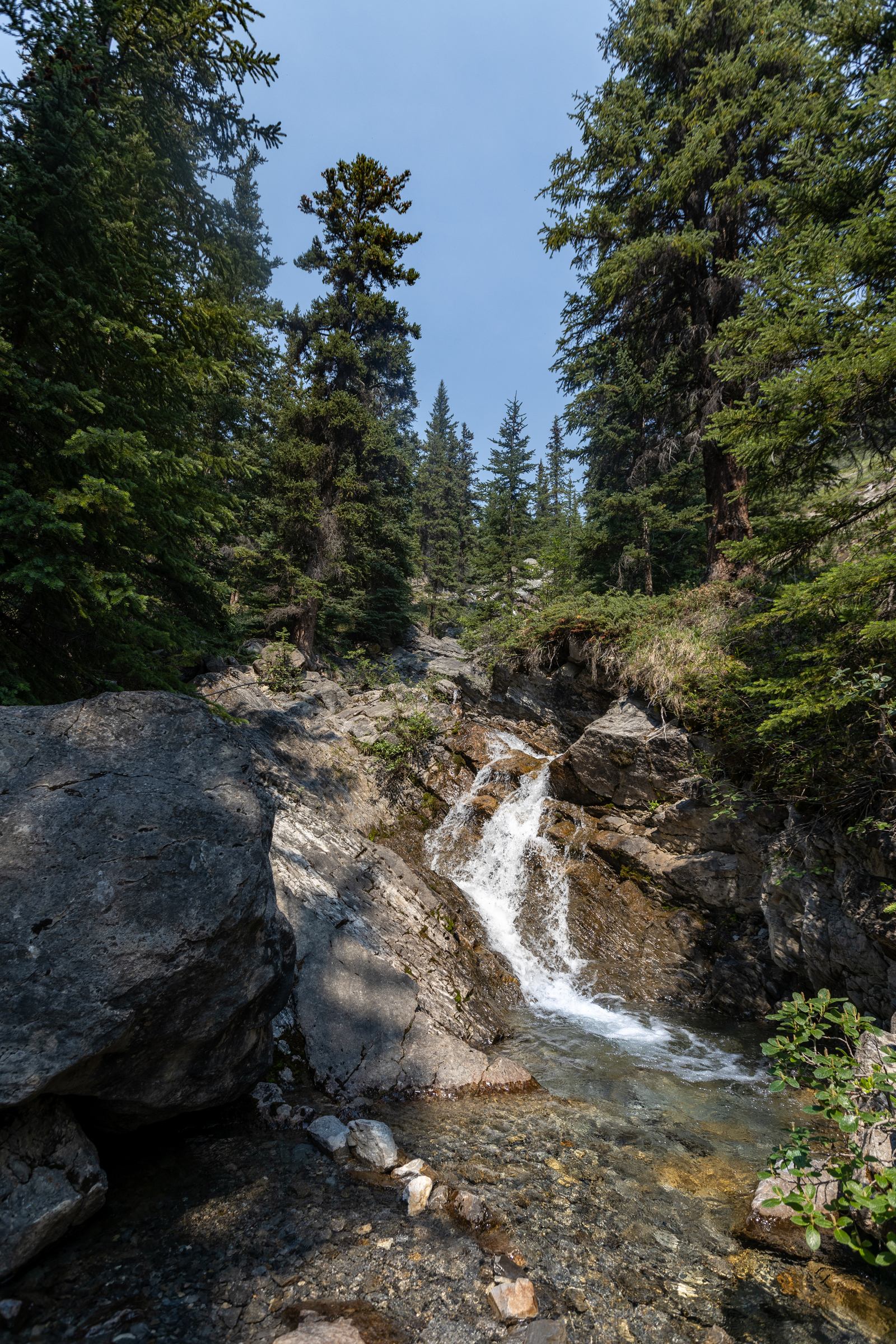 Creek at Columbia Icefields Campground.