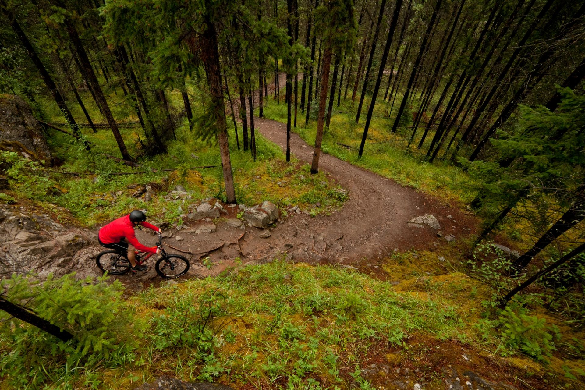 Mountain biker in red rides a winding dirt trail through dense green forest.