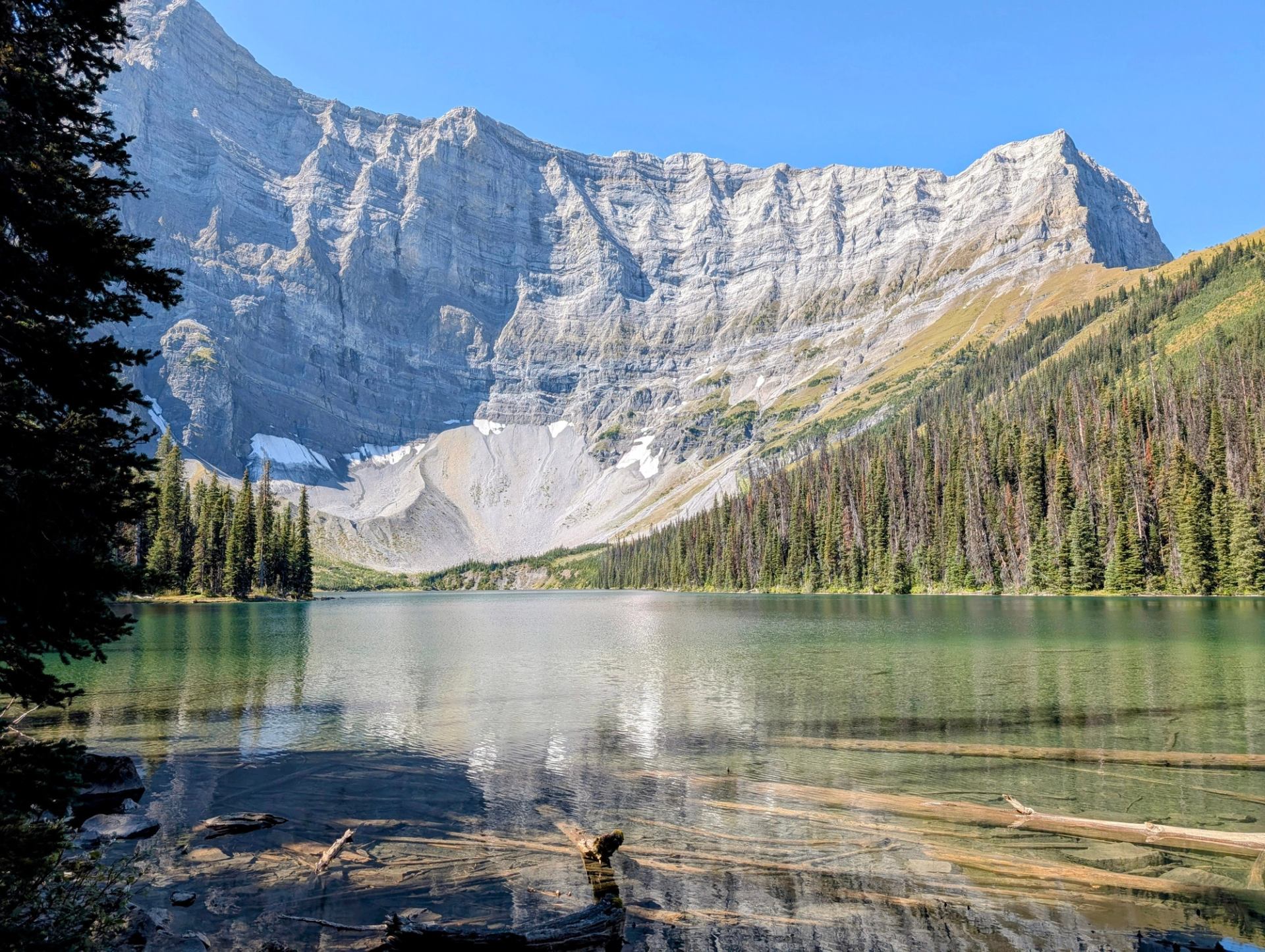 Mountain lake with clear water, submerged logs, dense evergreen forest and rocky cliffs.