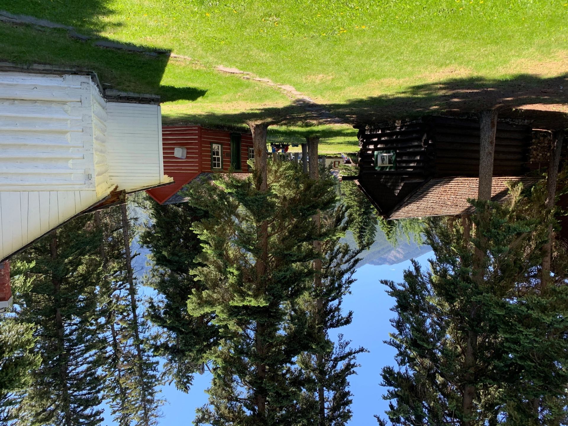 Historic buildings and lawns, viewed from above through tall evergreen trees in Banff.