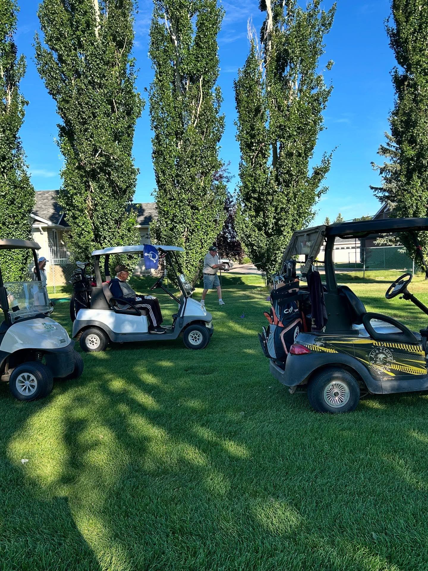 Golf carts parked on grass beside tall trees as players prepare to start.