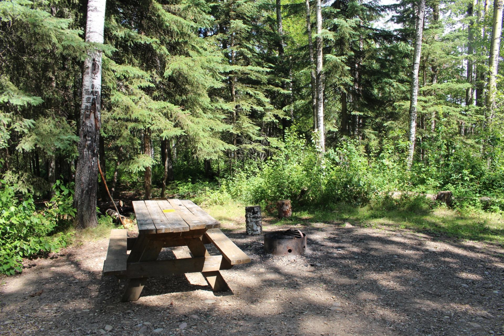 A picnic table, fire pit, and gravel pad in a campsite.
