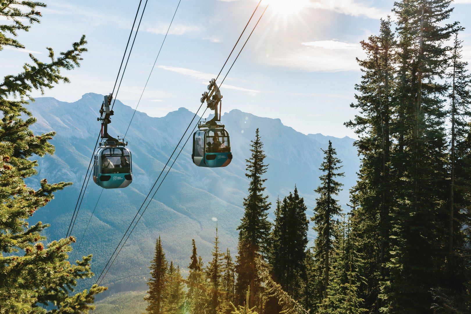 Gondola cabins travel above evergreen forest with distant mountain range and bright sun.