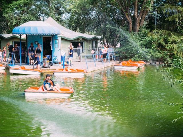 Pedal boats on a pond near a wavy-roof building at Edmonton Valley Zoo.