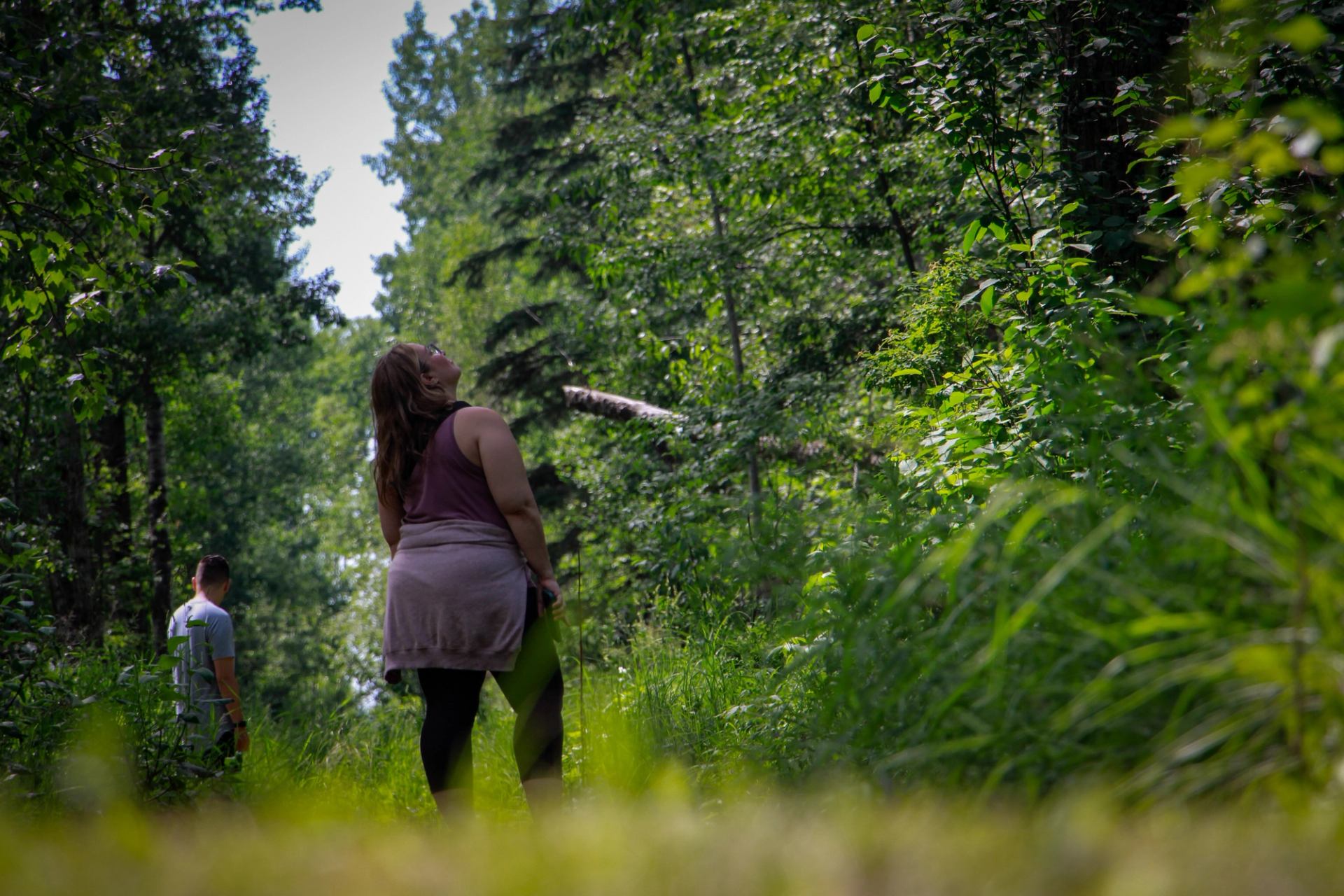 People walking along a lush green forest trail during a mindful outdoor wellness activity.