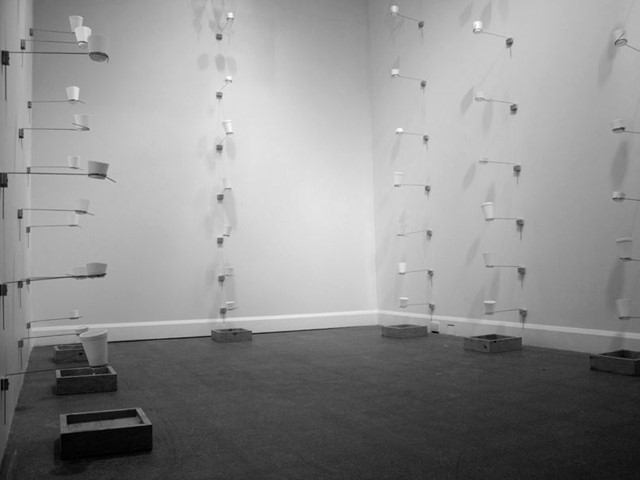 Art gallery interior with white walls, mounted spotlights, and several display pedestals.