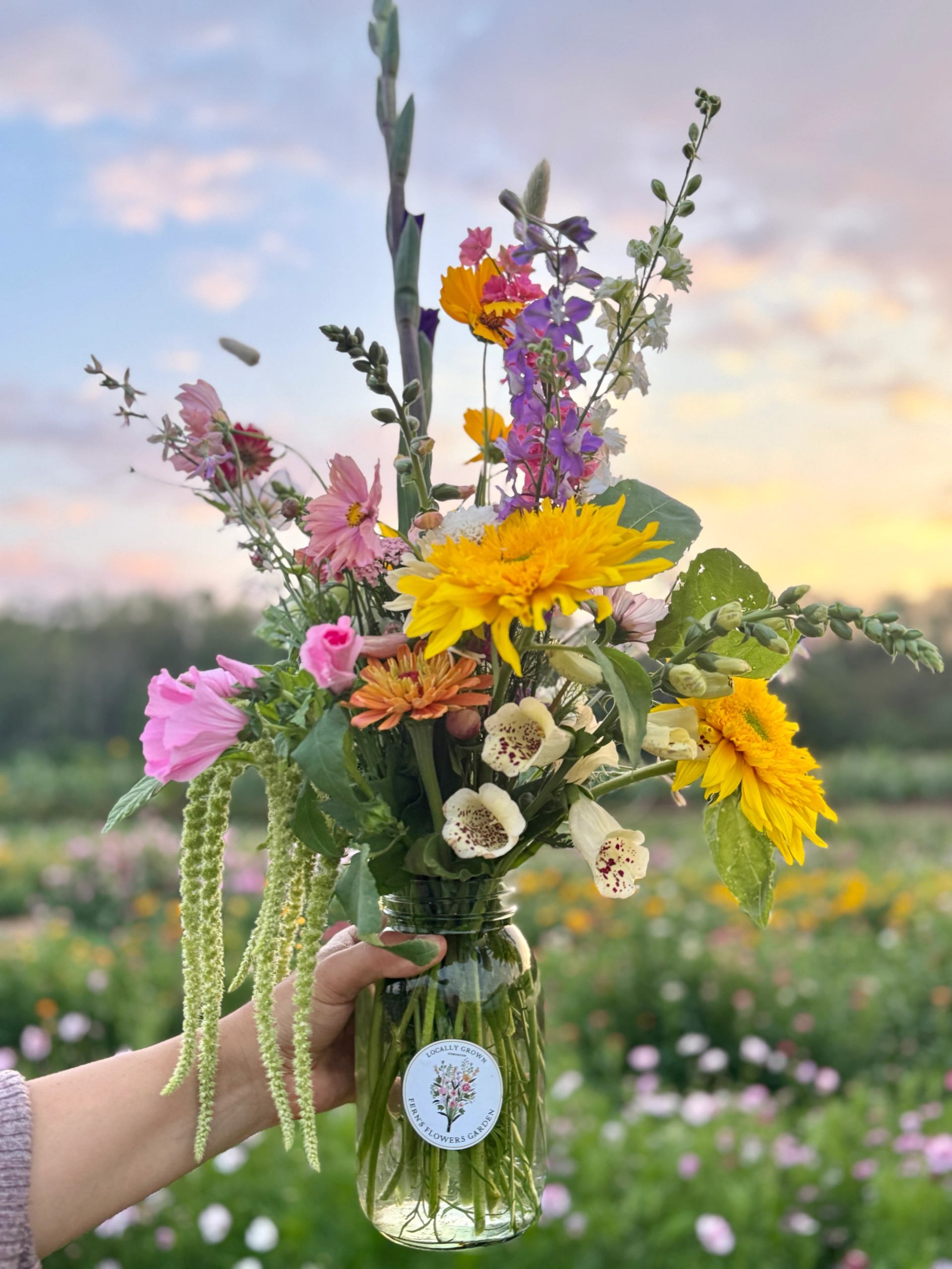 Hand holding a jar of mixed flowers in a field at sunset.