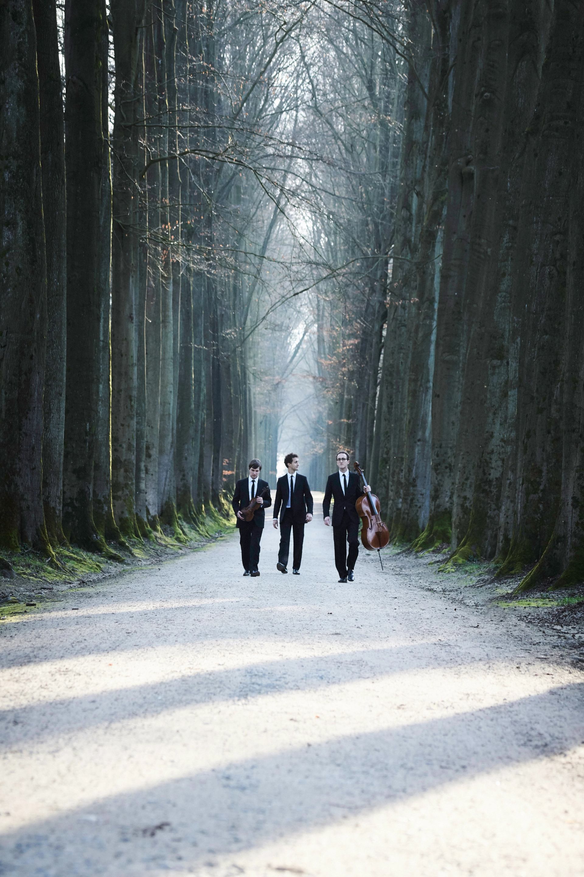 Three musicians in suits walk along a tree-lined path carrying string instruments.