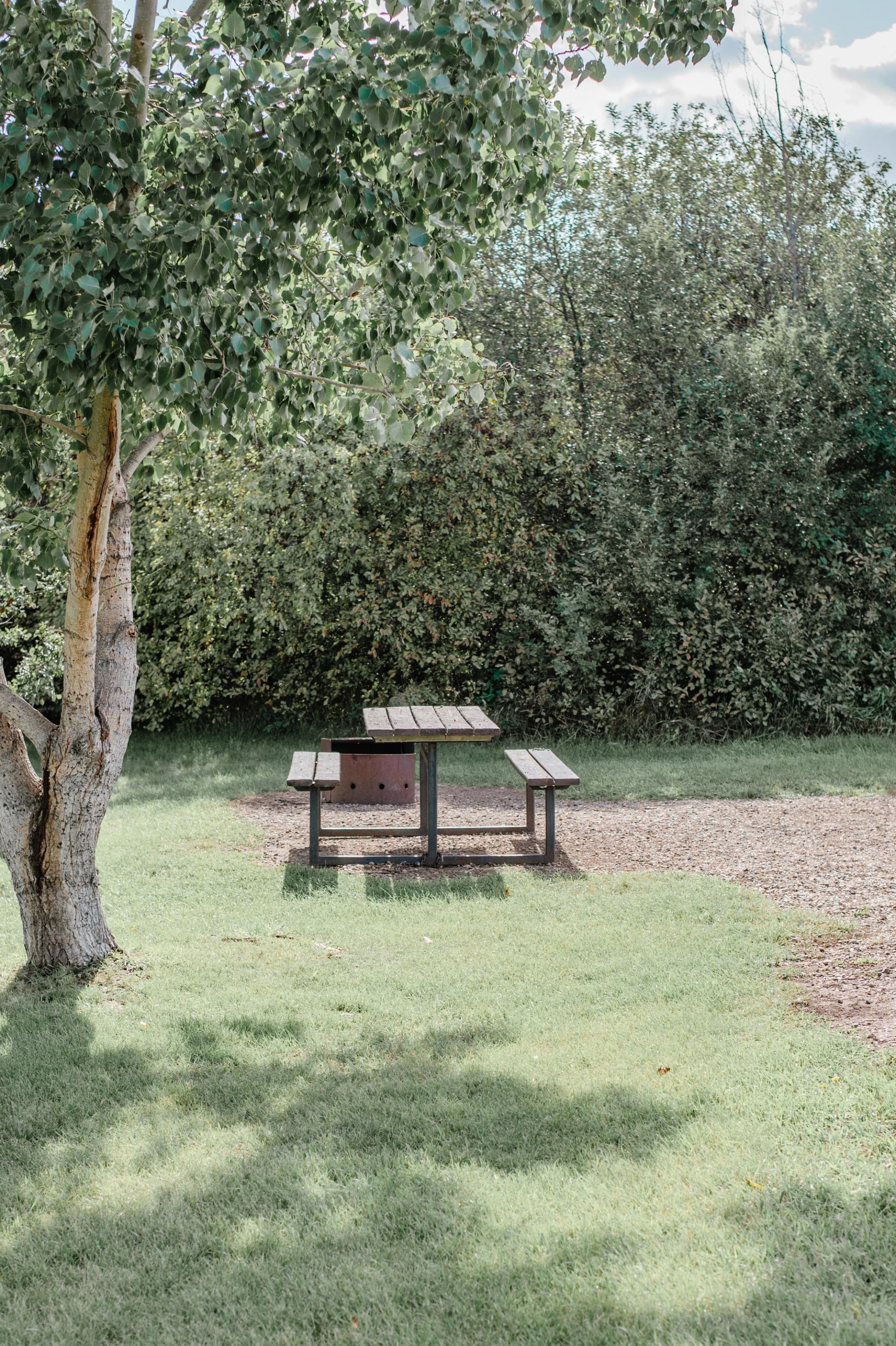 Wooden picnic table with metal fire pit on grass near dense green bushes.