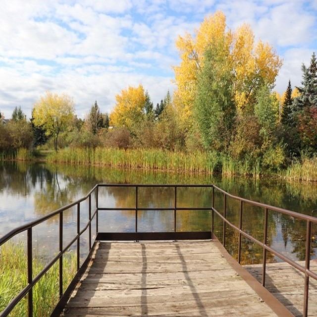 Wooden dock over a calm lake with autumn trees and blue sky in Muskoseepi Park.