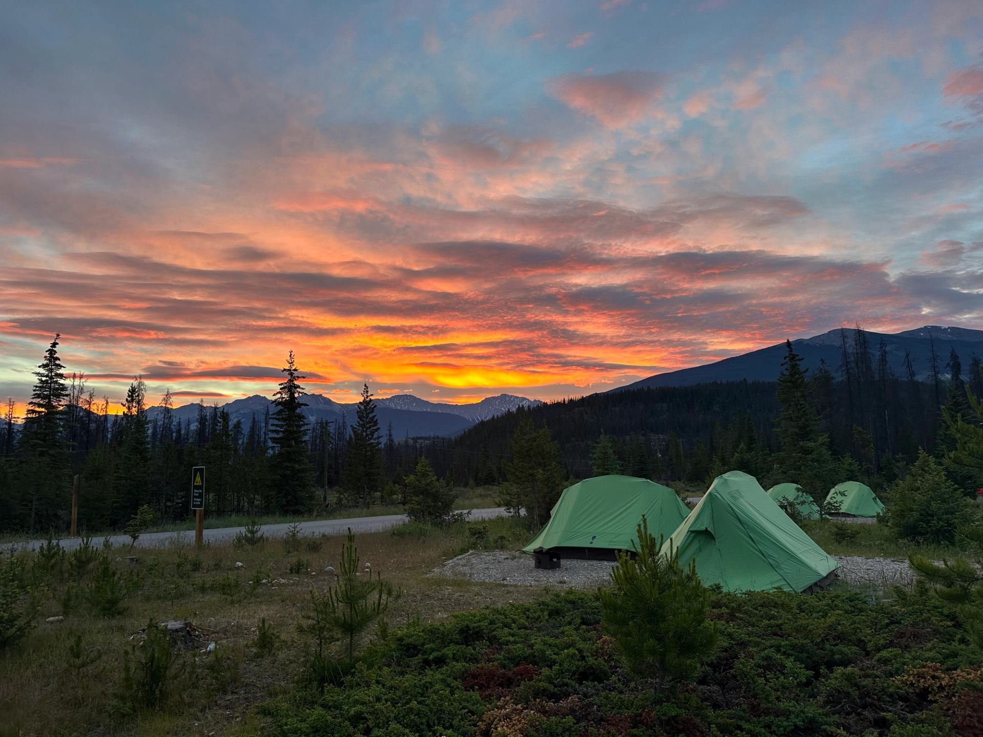 Green camping tents in a forest at sunset with mountains and colourful clouds.