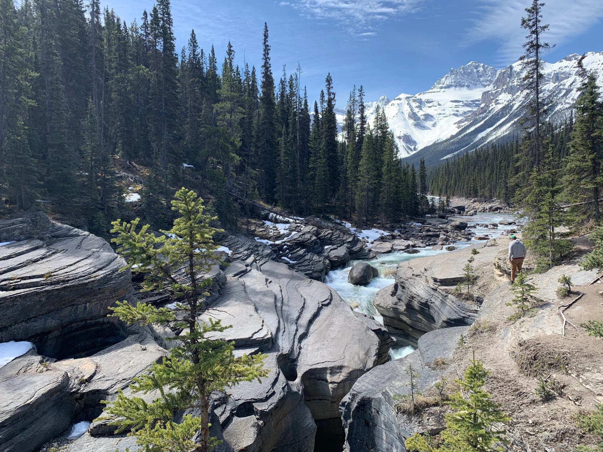 Mountain river flowing through rocky canyon surrounded by evergreens and snowy peaks.