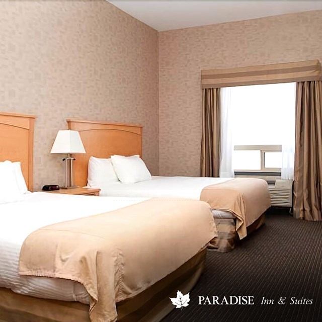 Hotel room with two beds, bedside lamp, curtained window, Paradise Inn & Suites logo.