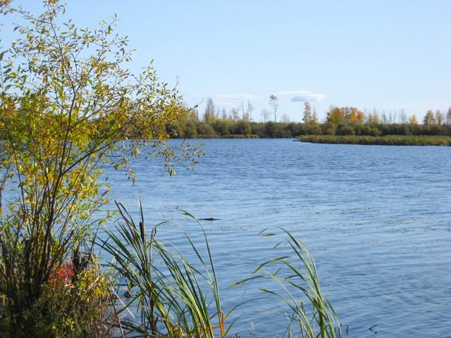 The lake
