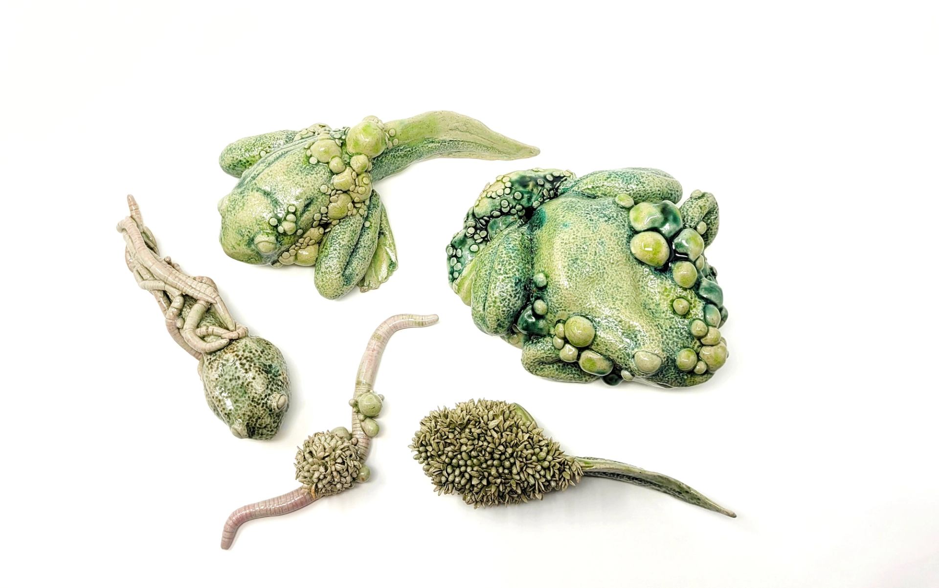 Green and beige ceramic sculptures resembling frogs, worms and textured organic forms on white.
