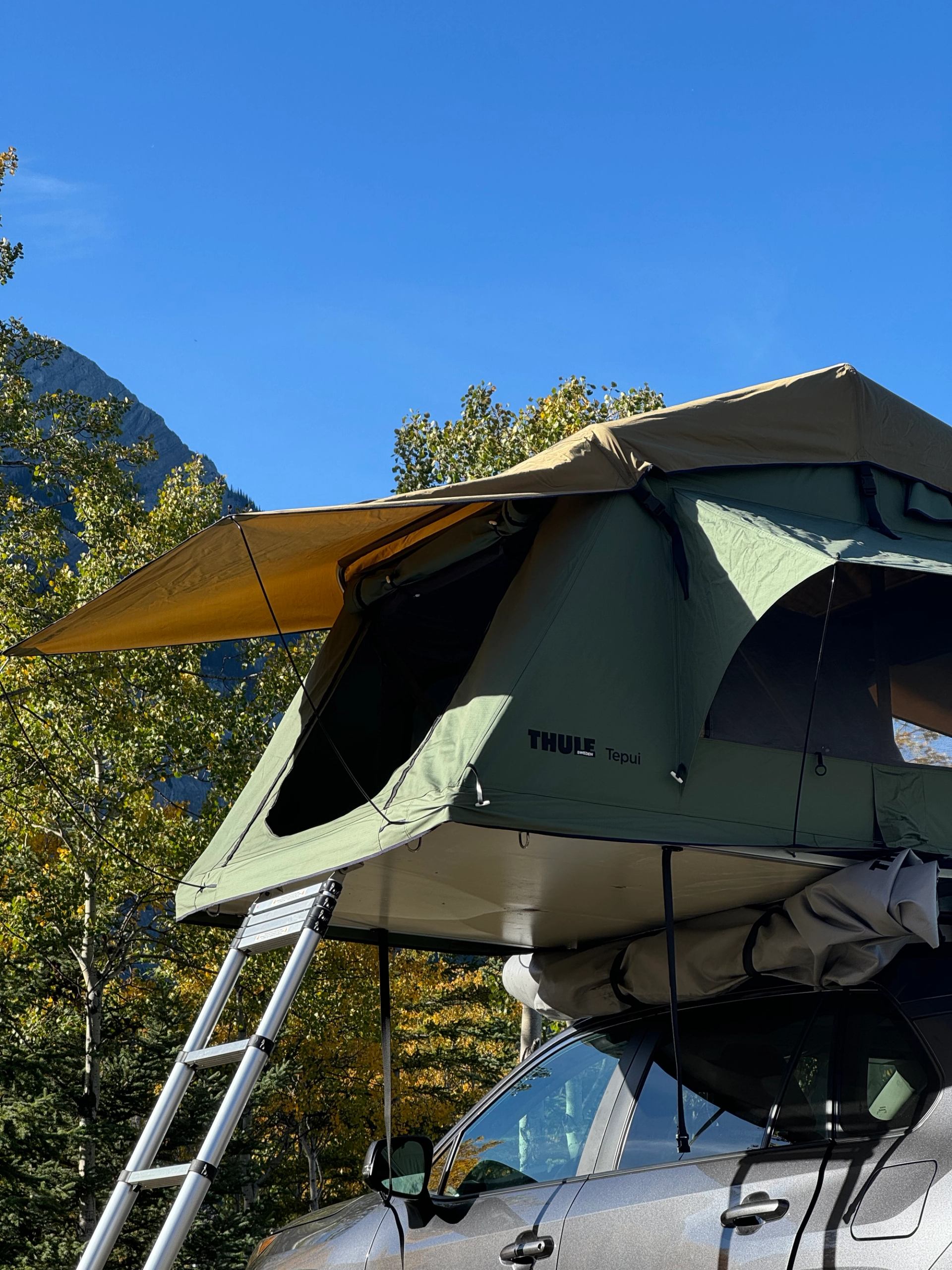 Rooftop Thule Tepui tent with ladder on parked SUV beside trees and mountain.