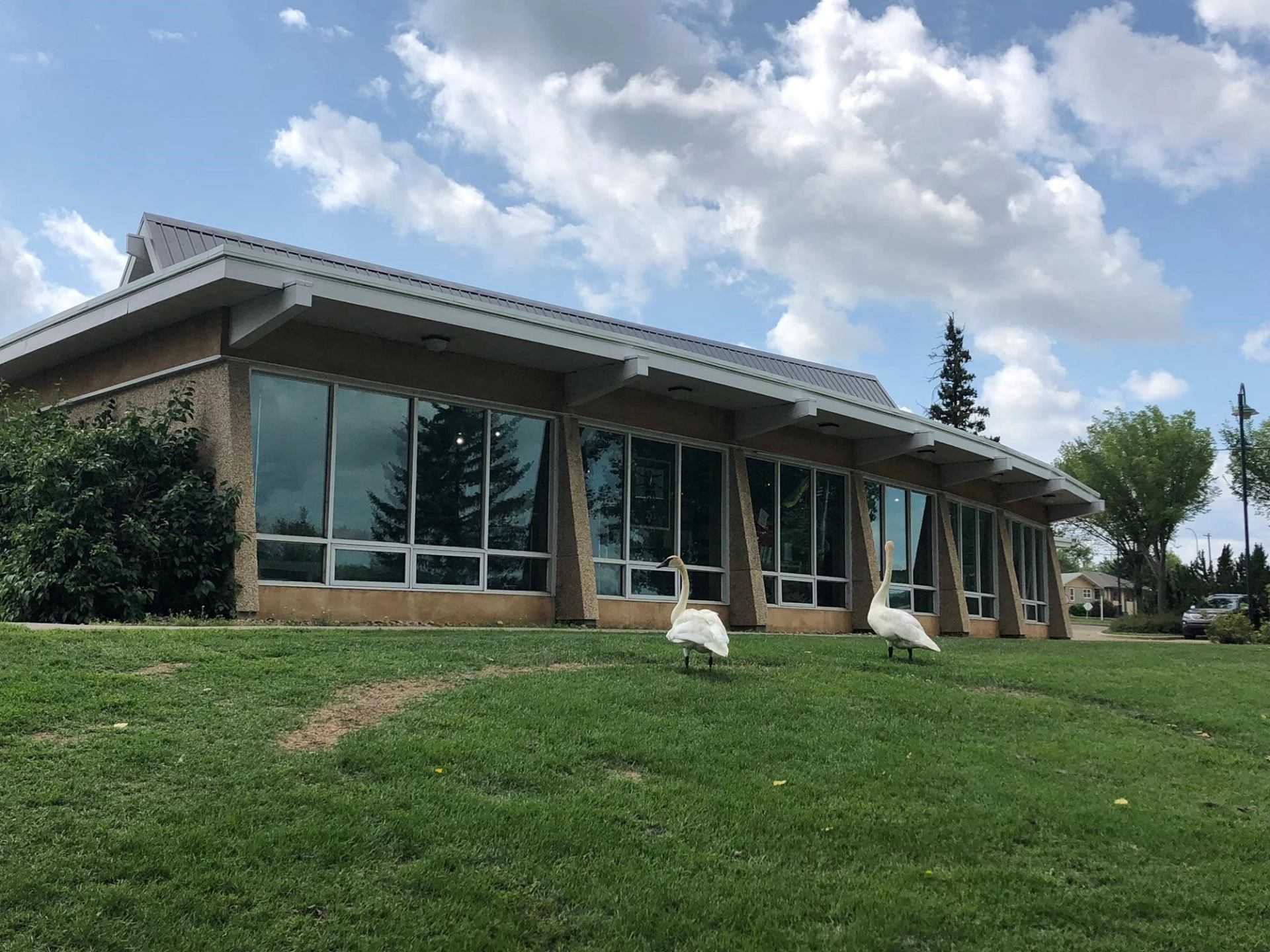 Modern building with glass windows, green lawn, trees, and birds in Camrose.