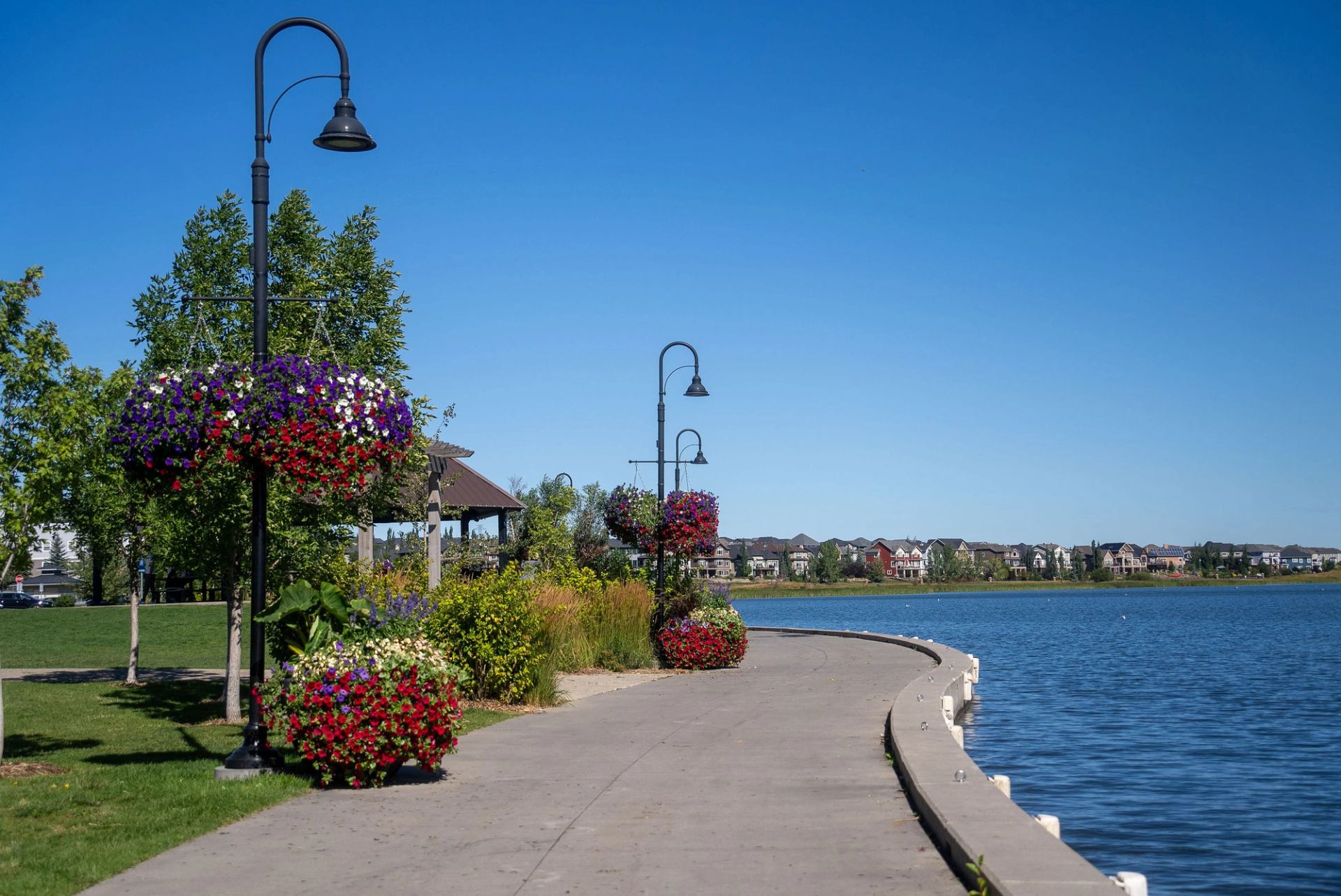 Chestermere Lake shore.